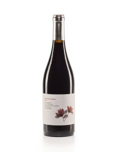 Vino de ribera de duero entre palabras crianza tinto