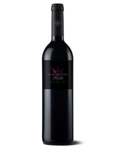 Somontano wine sers dinantes crianza red