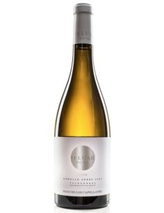 Vino de valdeorras o luar do sil sobre lias blanco