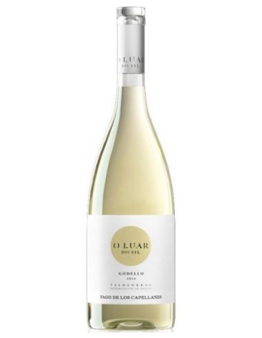 Valdeorras wine or Luar do Sil white wine