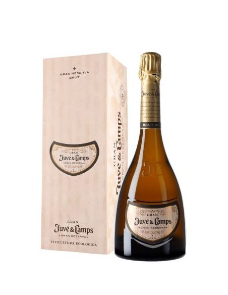Gran Juve Camps Gran Reserva Brut Cava with gift box