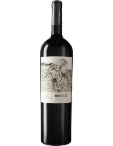 Montsant wine Mas Collet magnum red