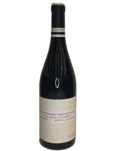 SALTAMARTI NATURAL RED WINE