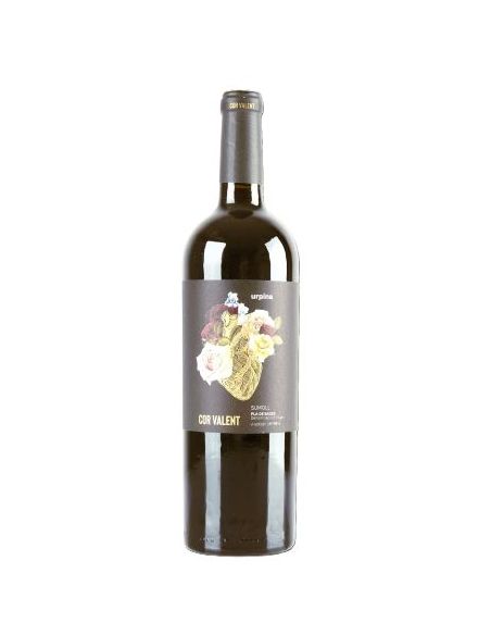 Pla del Bages wine Cor Valent Crianza red