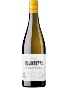 Vino de rioja artuke trascuevas 2021 blanco
