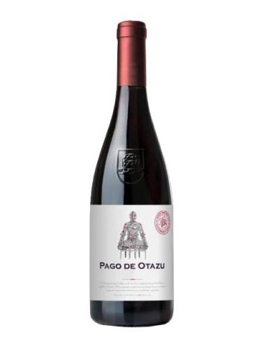 Botella vino Navarra PAGO DE OTAZU TINTO