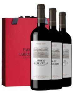 ESTOIG 3 AMPOLLES PAGO DE CARRAOVEJAS 2024 NEGRE