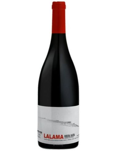 Botella vino Ribeira Sacra DOMINIO DO BIBEI LALAMA TINTO