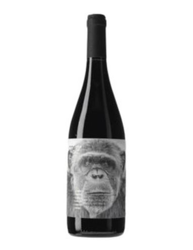 Botella vino Empordà MONO TINTO