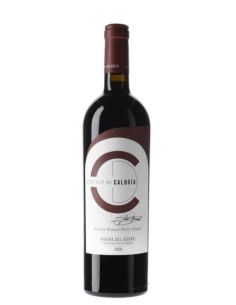 Botella vino Ribera del Duero DOMINIO DE CALOGIA 2020 TINTO