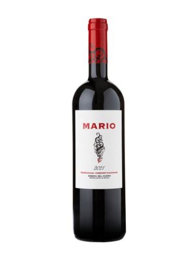 MARIO VC CRIANÇA NEGRE