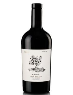 Botella vino del Bierzo POULA TINTO