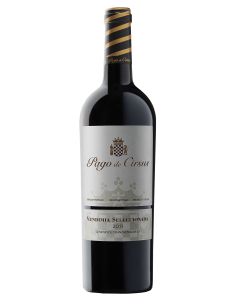 Vino de navarra pago de cirsus vendimia seleccionada tinto